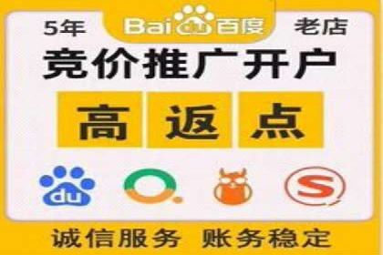 深度解读：百度推广运营的五大成功案例